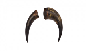 Buffalo Horn Chew