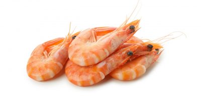 rsz_11tasty-cooked-shrimps-isolated-on-white-background-2021-09-03-00-38-56-utc-min